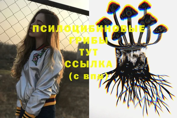 ECSTASY Корсаков
