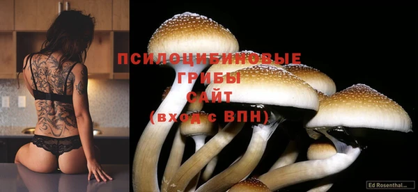 каннабис Кодинск