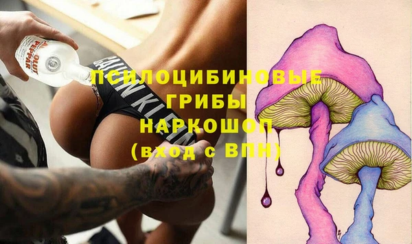 ECSTASY Корсаков