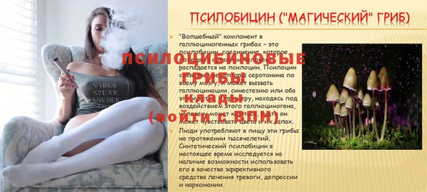 ECSTASY Корсаков
