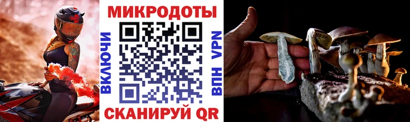 Галлюциногенные грибы Psilocybe kraken ONION Новодвинск